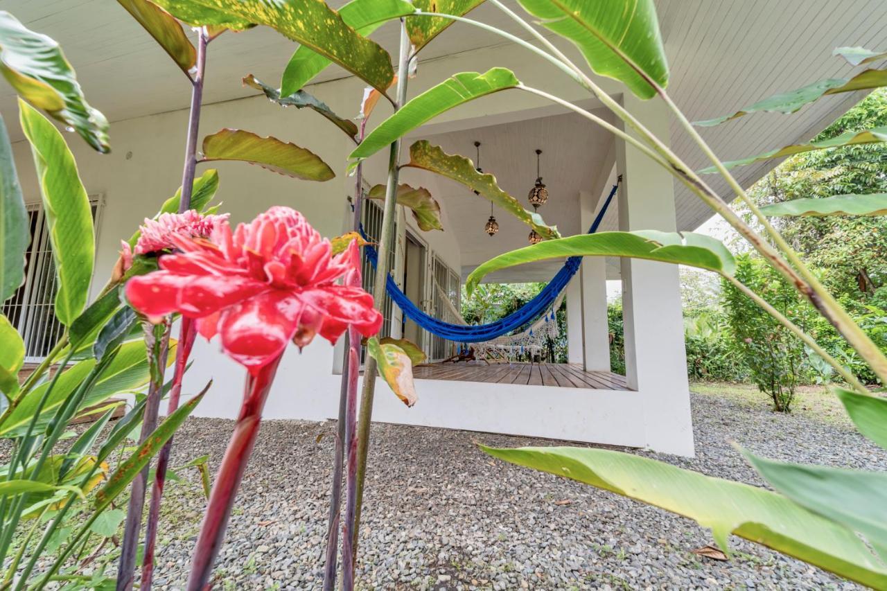 Pineapple House Manzanillo Βίλα Εξωτερικό φωτογραφία