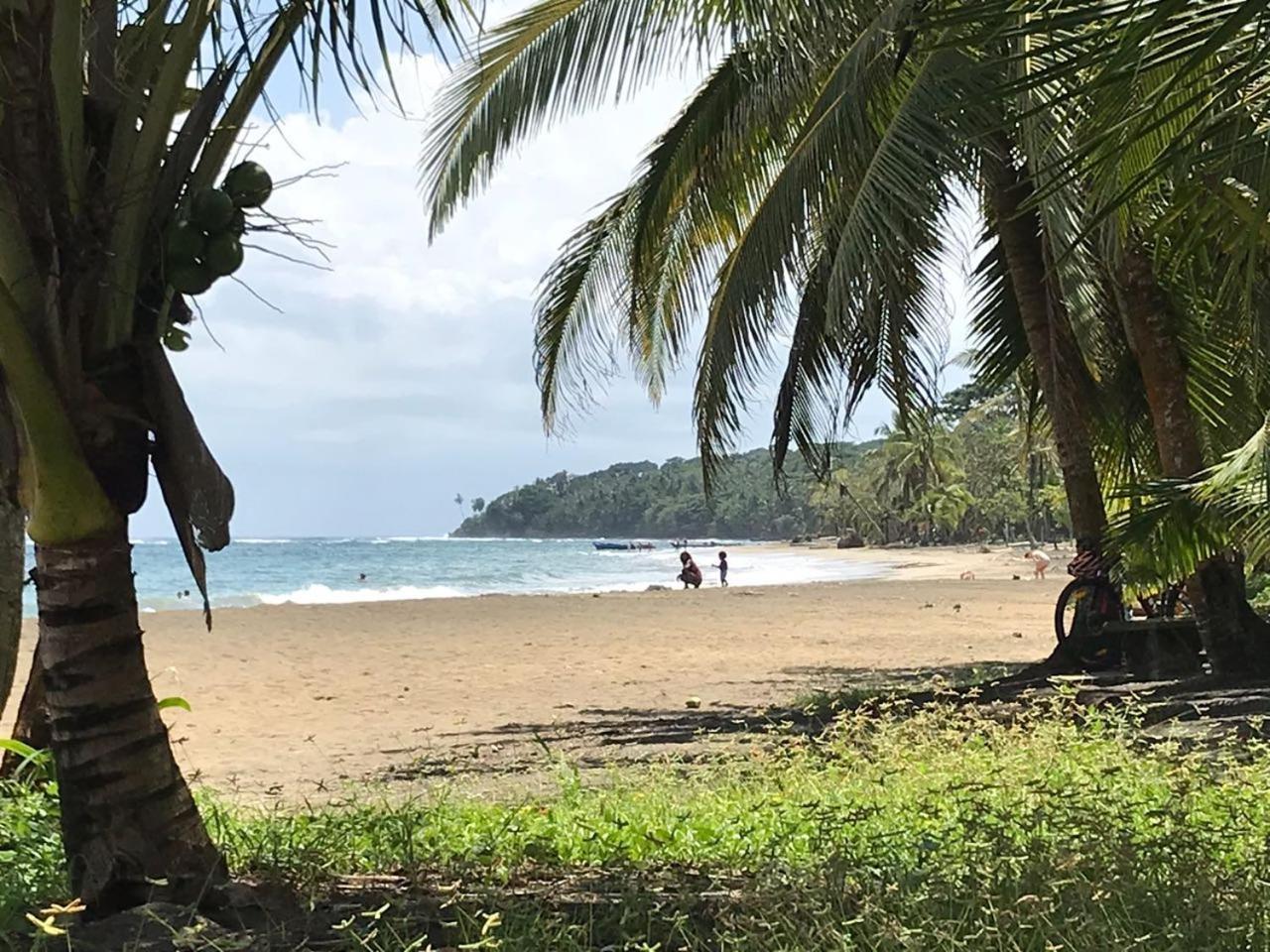 Pineapple House Manzanillo Βίλα Εξωτερικό φωτογραφία