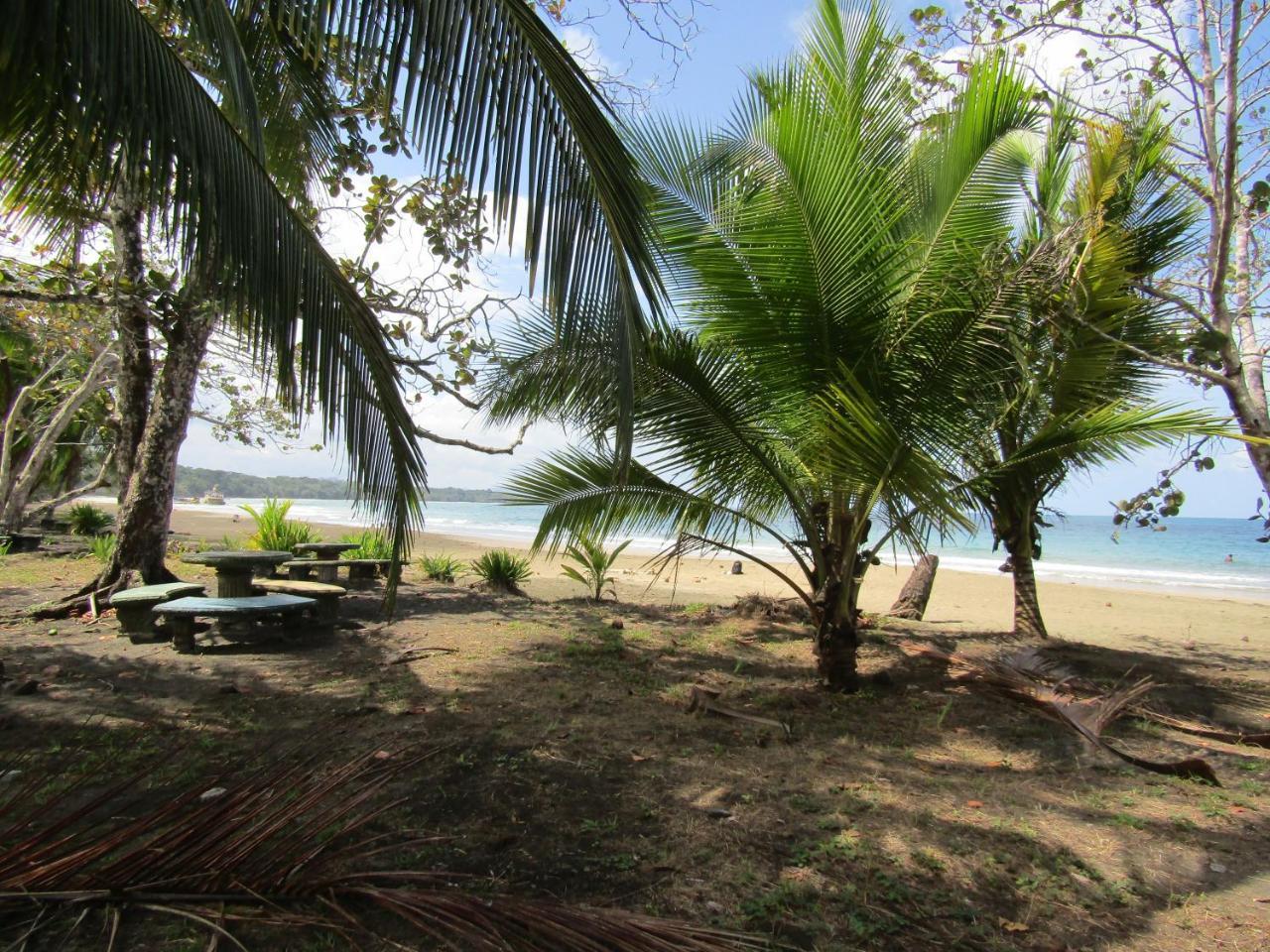Pineapple House Manzanillo Βίλα Εξωτερικό φωτογραφία