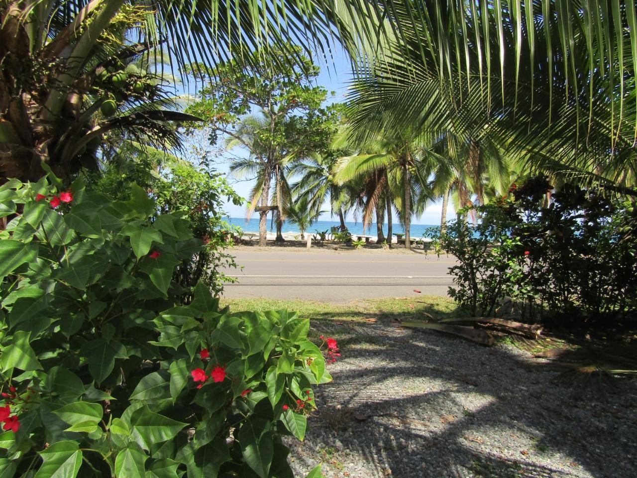 Pineapple House Manzanillo Βίλα Εξωτερικό φωτογραφία